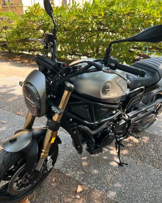 Benelli Leoncino 800