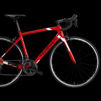 Bici in carbonio Wilier Triestina