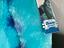 Immagine 5