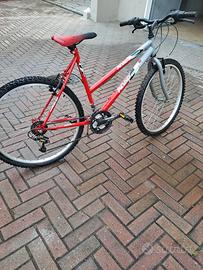 Bicicletta da donna