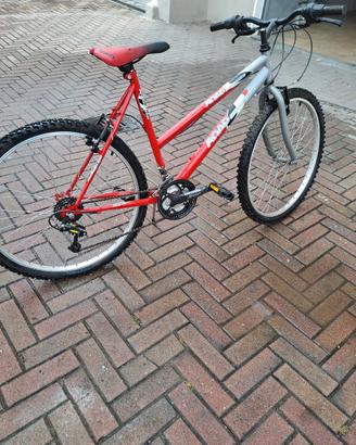 Bicicletta da donna
