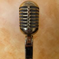 Microfono Elvis