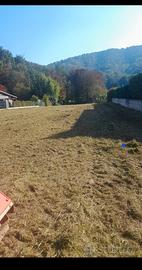 Terreno ad Ambivere 2000mq I