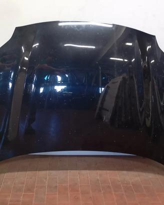 Cofano Anteriore Kia Sportage 4a Serie (2016 - 201