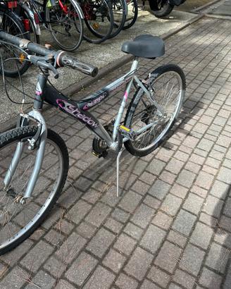 Bicicletta - moutain bike