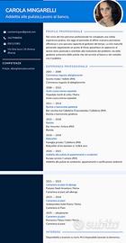 Lavoro alberghiero, commessa, bancoposta
