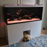 Acquario acqua dolce 600 litri completo