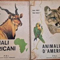 Animali d'America e africani di Dallet-Wolff