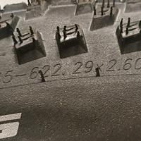 Coppia di pneumatici Schwalbe Smart Sam