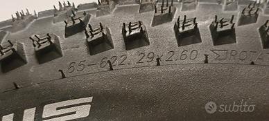 Coppia di pneumatici Schwalbe Smart Sam