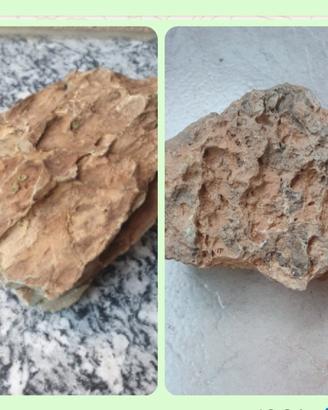 2 rocce naturali per acquario e rettilario 