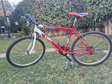 Bicicletta per ragazzo