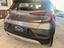Immagine 17