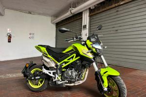 Benelli TNT tornado naked