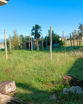 pali vigneto 