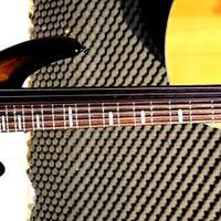 BASSO ELETTRICO IBANEZ ASHULA 2