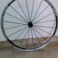 cerchio anteriore bdc 