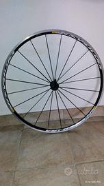 cerchio anteriore bdc 