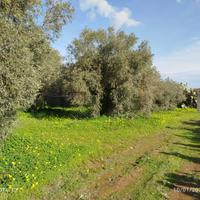 Terreno agricolo di mq 18575 con fabbricato agr
