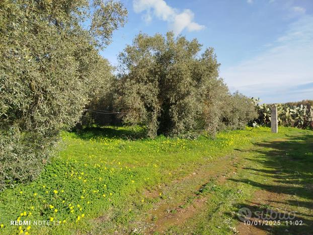 Terreno agricolo di mq 18575 con fabbricato agr