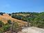 Immagine 22