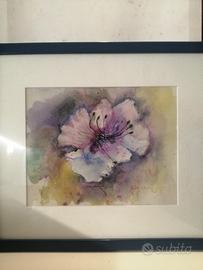quadro 