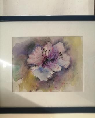 quadro 