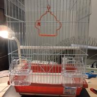 Piccola gabbia per uccellini 