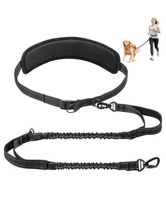 Guinzaglio per cani con manico libero, guinzaglio 