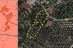 TERRENO EDIFICABILE 2430mq Uliveto Agrumeto etc