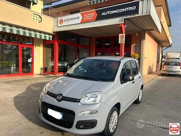 FIAT - Panda 1.2 Easy easypower Gpl 69cv my19