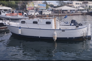 Barca gozzo poseidon 25