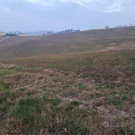 Vendesi terreno agricolo