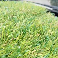 Erba Sintetica Top di Gamma 3 cm Simil Vero