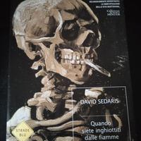 quando siete inghiottiti dalle fiamme/david Sedari