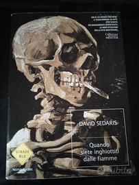 quando siete inghiottiti dalle fiamme/david Sedari