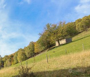 Rustico/Casale/Corte Cerano d'Intelvi