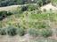 Immagine 27