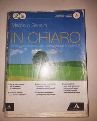 In Chiaro