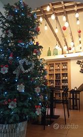 Attività commerciale