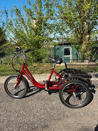 Triciclo Elettrico Adulti