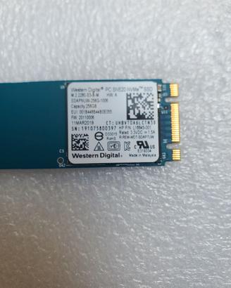 Memoria SSD Western Digital SN520 NVMe 256Gb