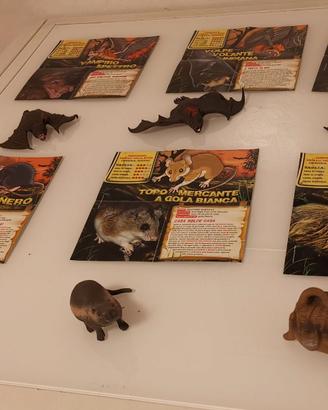 Pipistrelli & Co, Snake & Co – animali gommosi