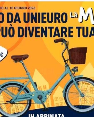 bicicletta pieghevole