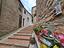 Immagine 17