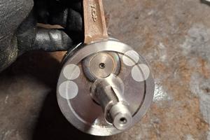 Albero Top spalle piene