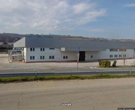 Capannone 5.000 mq Termoli Zona Industriale