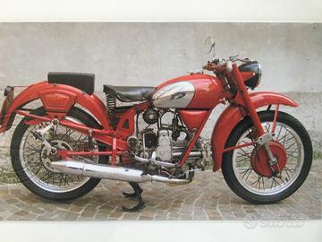 Moto Guzzi Airone Sport 250 - 1955