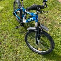 Bici carratt wind 20