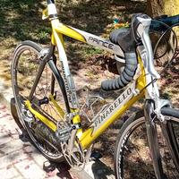 Pinarello Prince TG 56